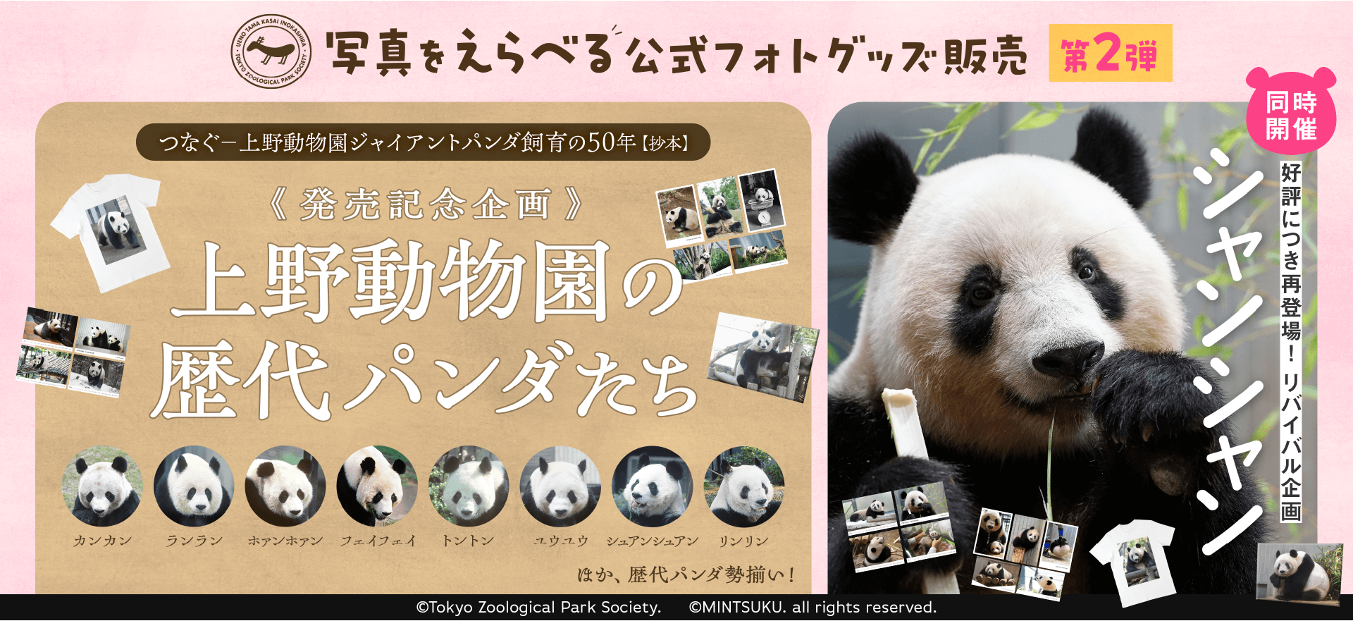 シャンシャン 上野動物園 パンダ 写真集 すくすく、シャンシャン 