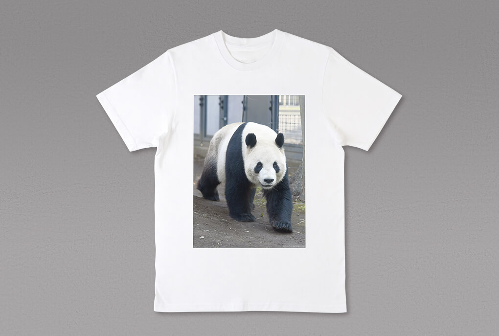 上野動物園 Tシャツ | MINTSUKU